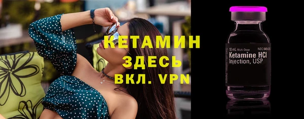 трава Белокуриха