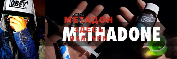 трава Белокуриха