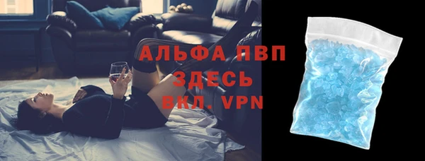 трава Белокуриха