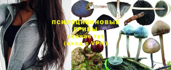 гидра Белоозёрский
