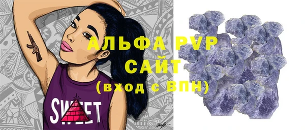 трава Белокуриха