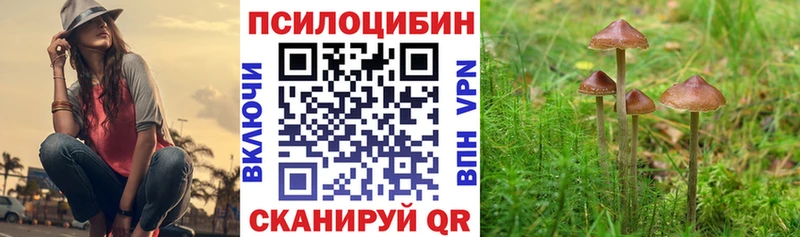 продажа наркотиков Уварово Псилоцибиновые грибы Magic Shrooms